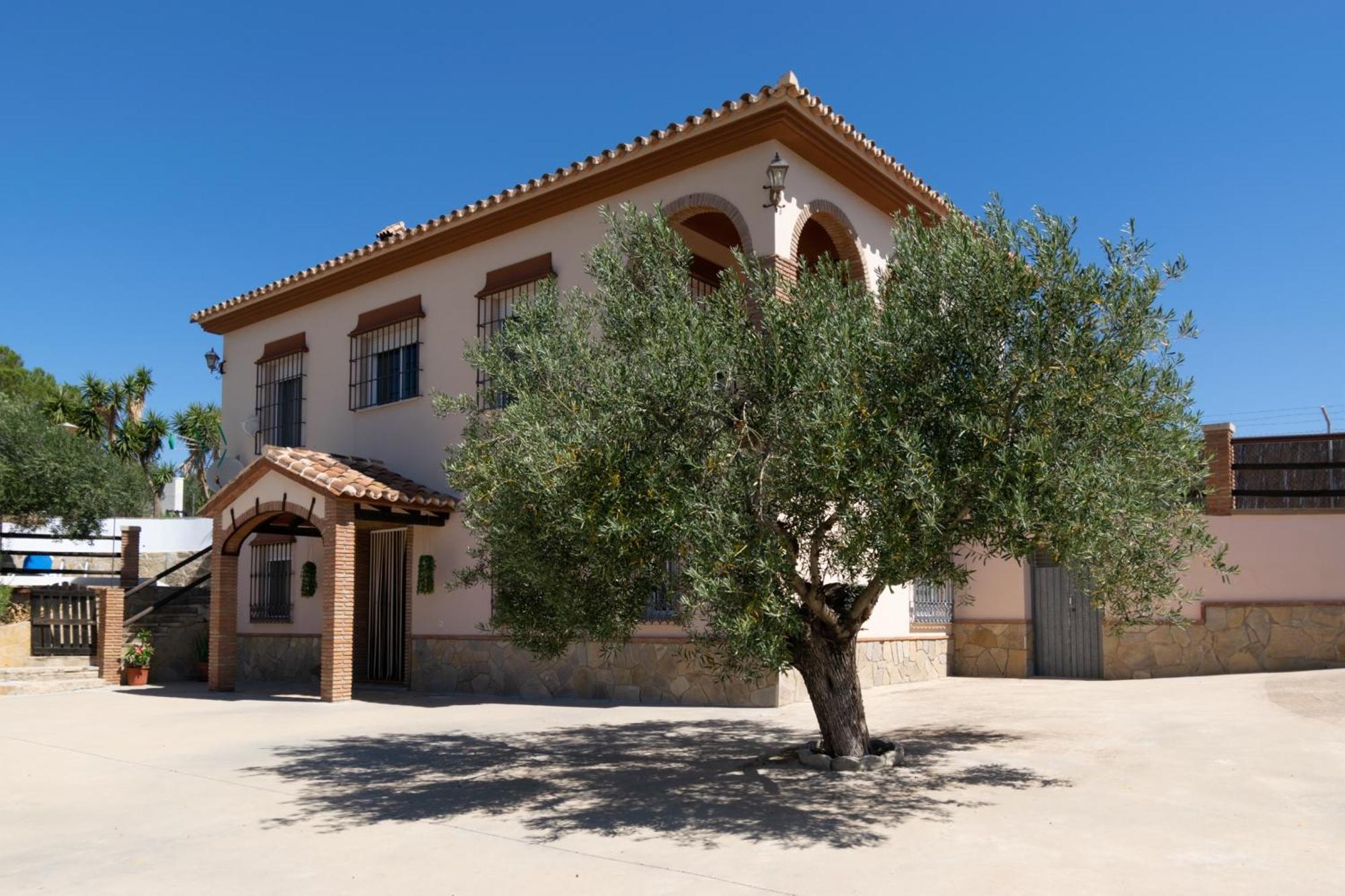 Casa Los Olivos Alora - Caminito Del Rey Esterno foto