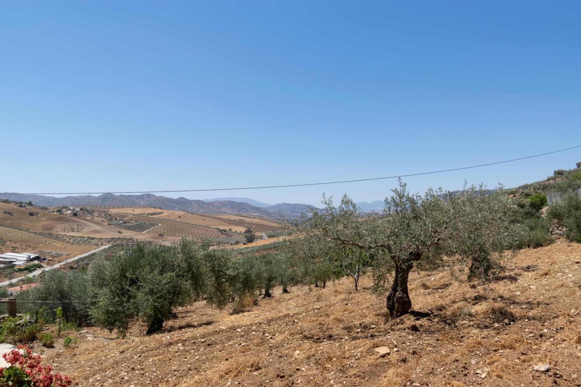 Casa Los Olivos Alora - Caminito Del Rey Esterno foto